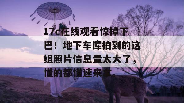 17c在线观看惊掉下巴!地下车库拍到的这组照片信息量太大了,懂的都懂速来拿。